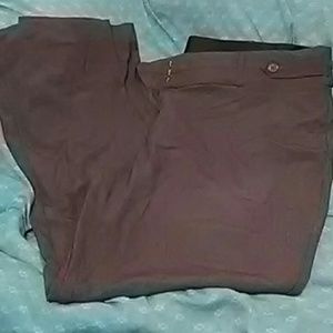 Candies dress pants 24w